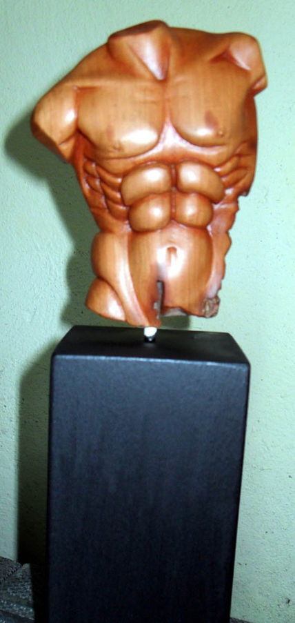 Torso masculino2
