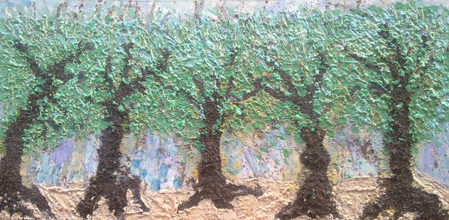 Bosque de olivos