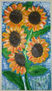 Girasoles