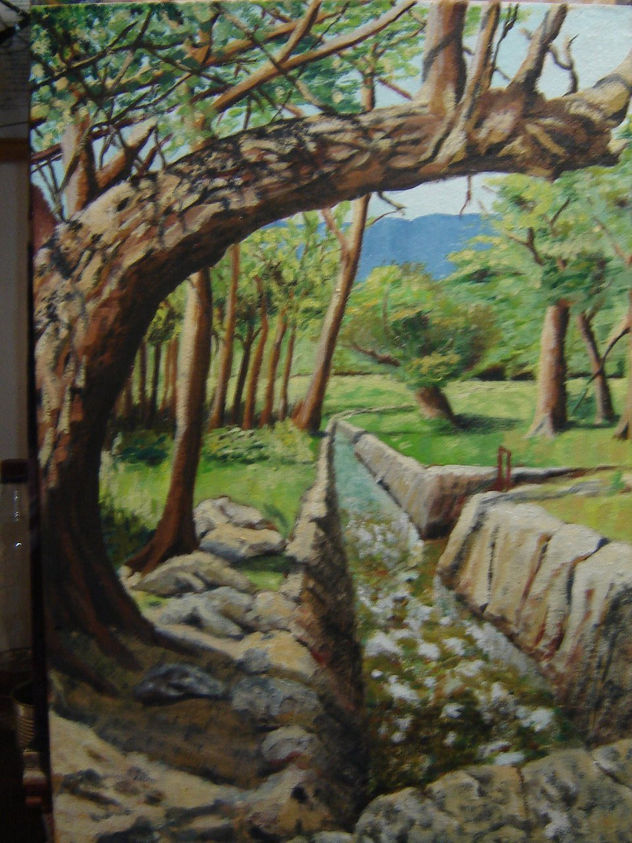 acequia
