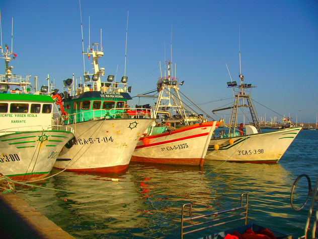 barcos