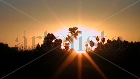 Amanecer del 2011