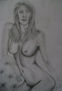 desnudo v¡¡