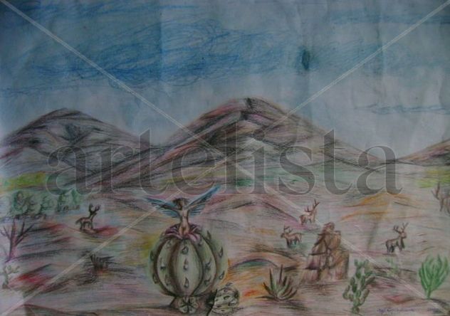 viricota