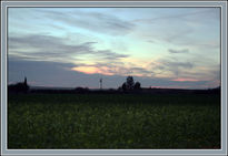 Atardecer en el campo