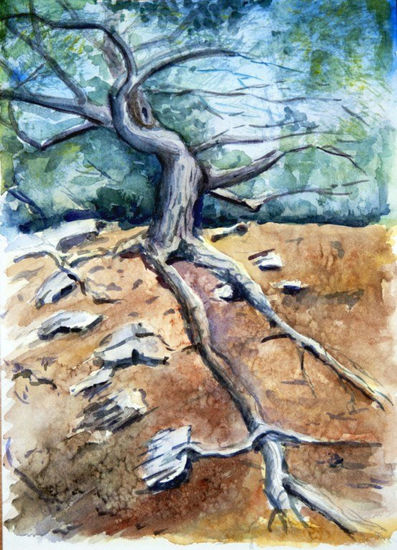 El árbol de Cadaqués Watercolour Paper Landscaping