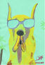 Perro con gafas