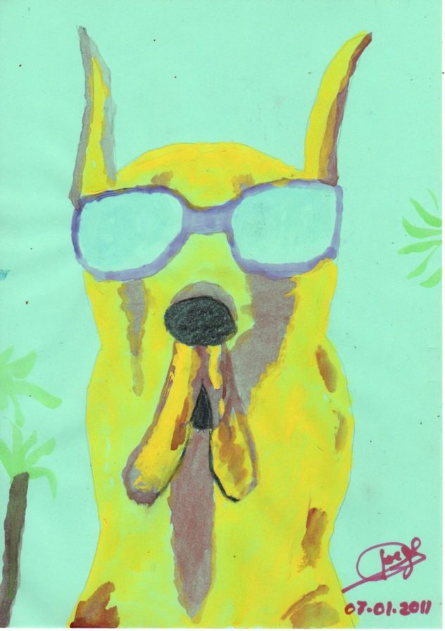 Perro con gafas