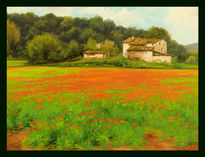 Amapolas en l´vall...