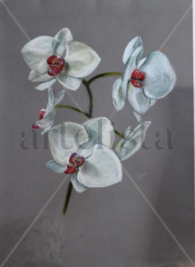 orquidea Pastel Papel Floral