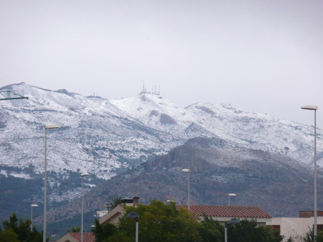 nevada 2010