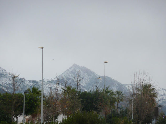 nevada