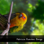 fotografia Diguital thumbnail 1