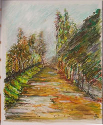Camino verde