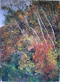 Bosque encantado
