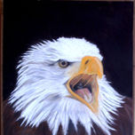 aves thumbnail 1