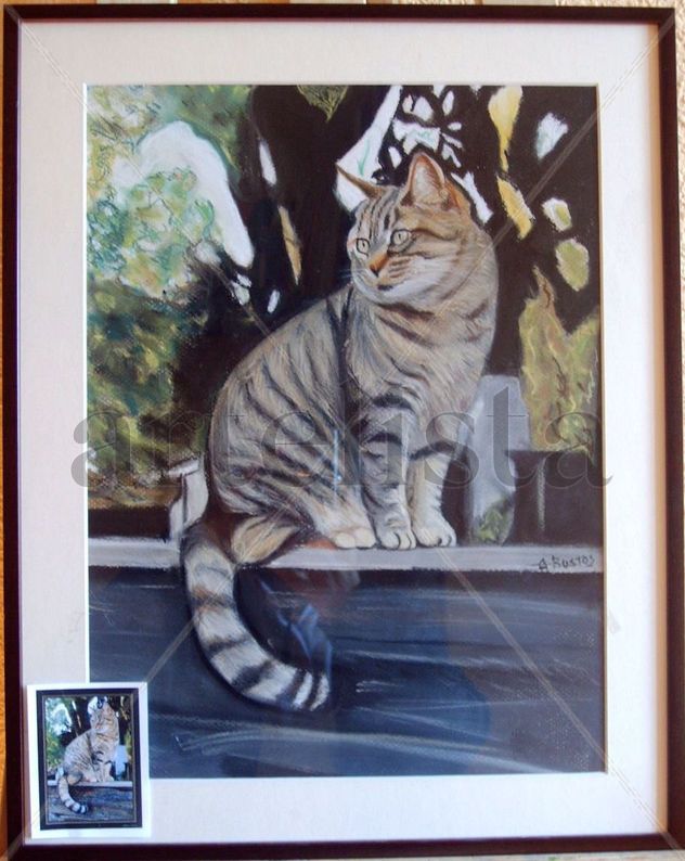 GATO SOBRE CERCADO