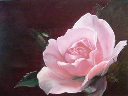 Rosa