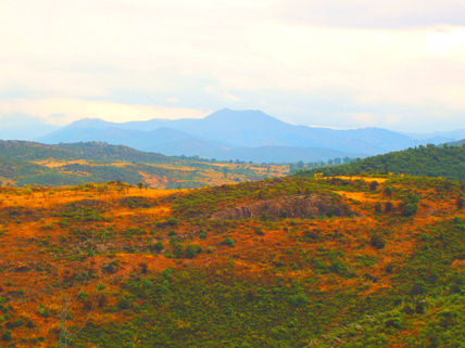 ¡ Divina naturaleza !
