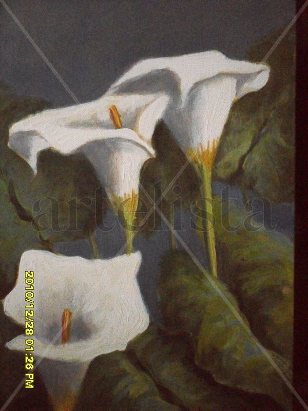 flores