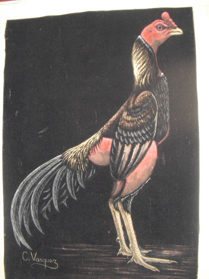 Gallo de pelea