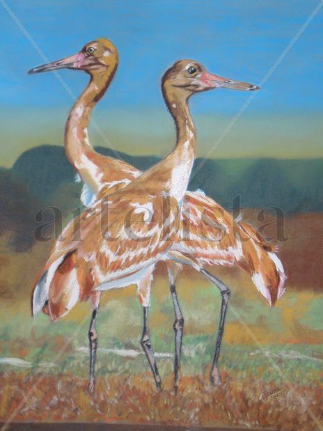 Grullas