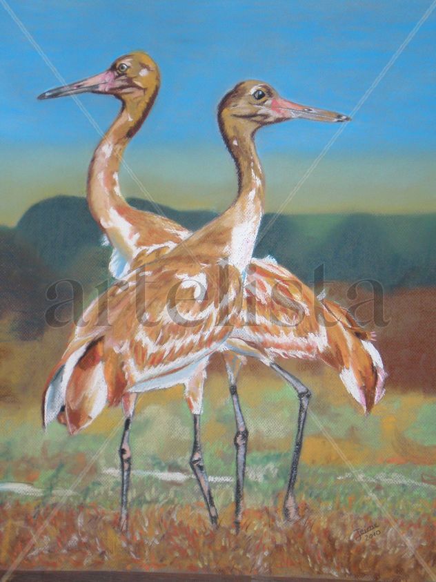 Grullas