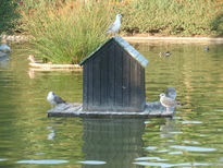 Parque de las palomas