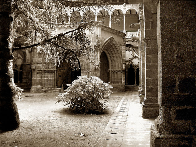 Tranquilidad Arquitectura e interiorismo Blanco y Negro (Digital)