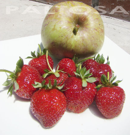 Frutas huerto