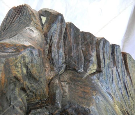 Sur ( detalle)