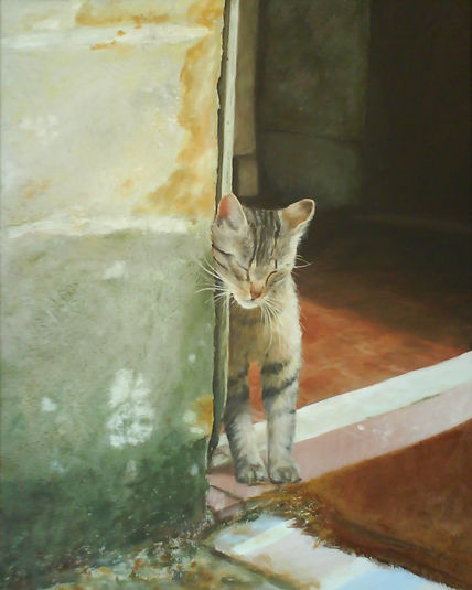 Gato