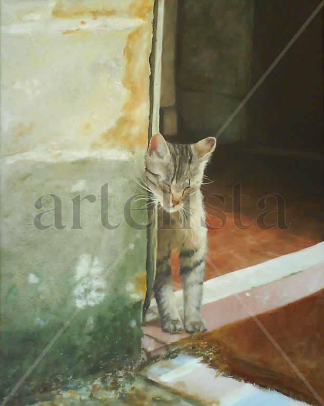 Gato