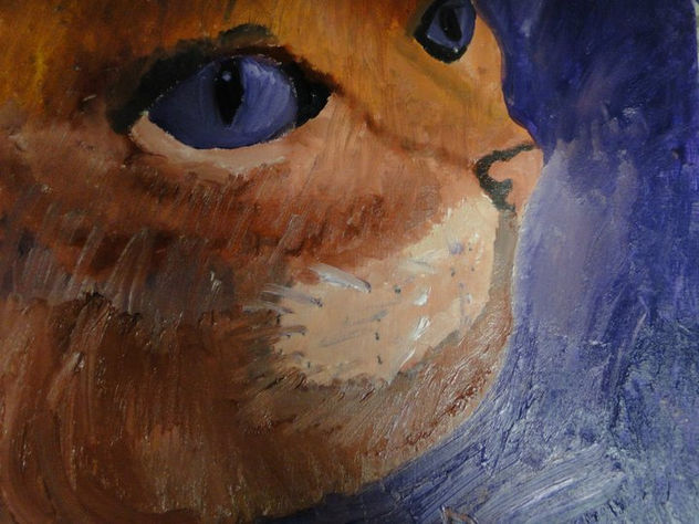 gatito