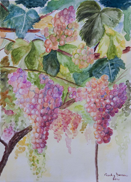 "Frutos de mi tierra"