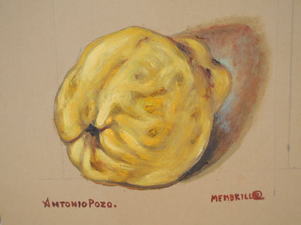 Membrillo