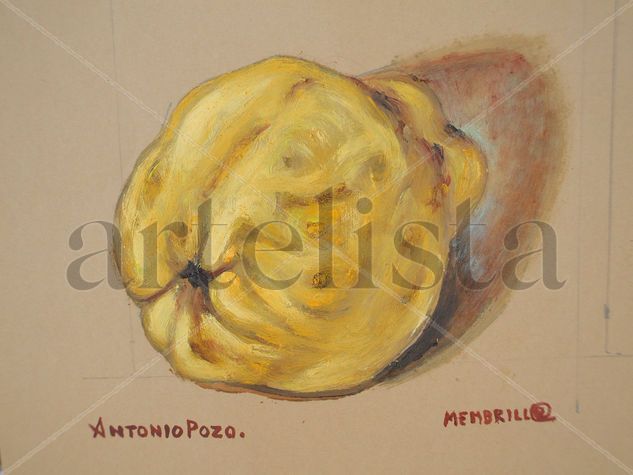 membrillo Oil Paper Still Life Paintings