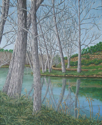 Los lagos de Suria