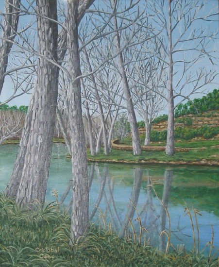 Los lagos de Suria Óleo Lienzo Paisaje