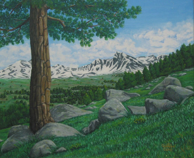 Montaña de los Pirineos