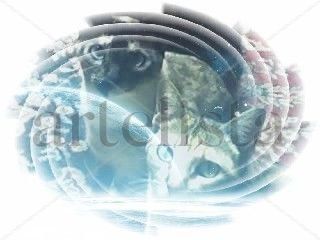 foto5 en efecto 3d