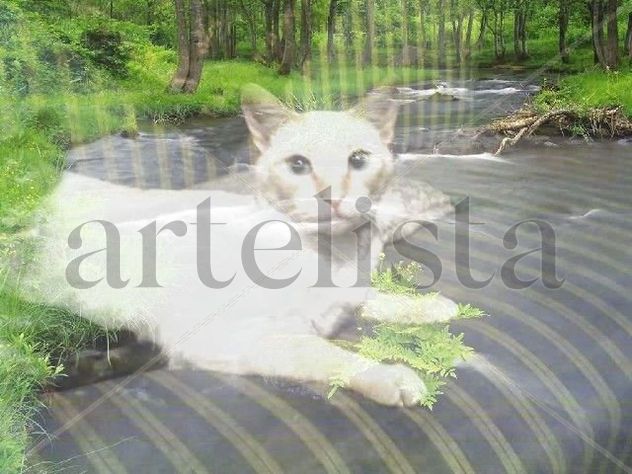 foto 8 gato siames albino en paisaje 3d