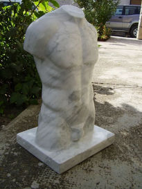 Torso Clasico