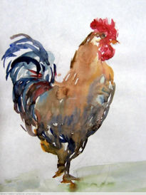 Gallo