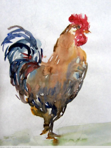 Gallo
