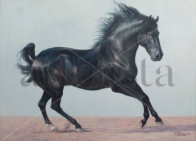 CABALLO DE PURA RAZA