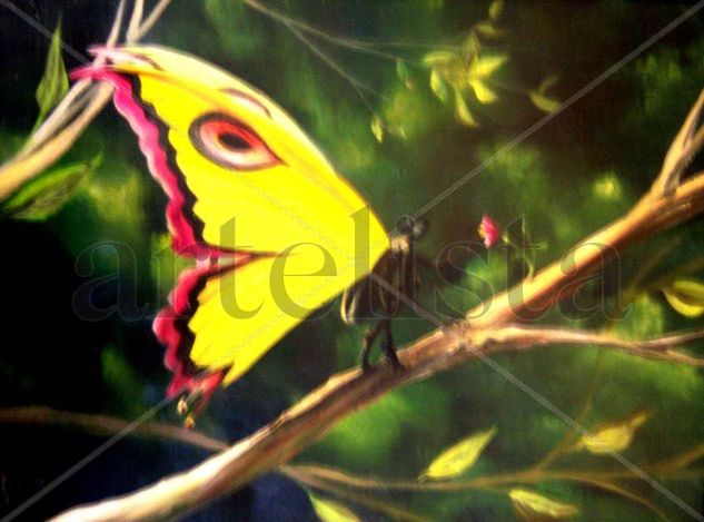 MARIPOSAS Oil Panel Others