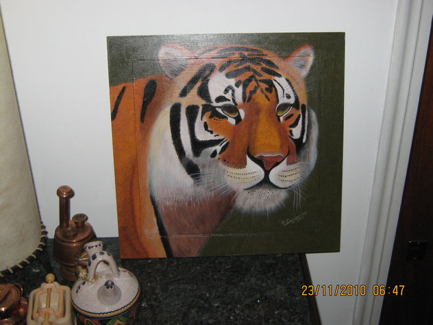 Tigre