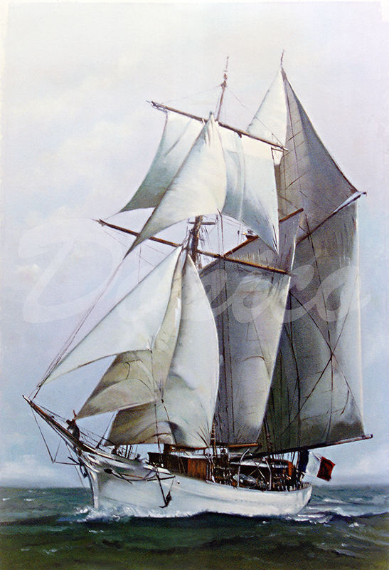 La Belle Poule (Cutty Sark)