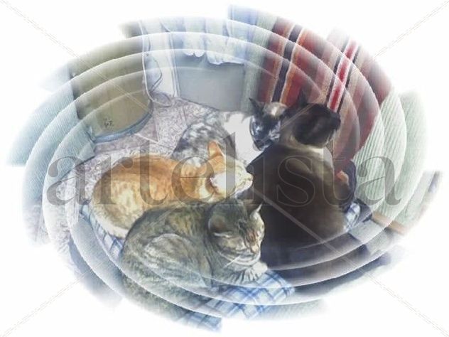 durmiendo en flia 1